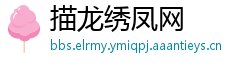 描龙绣凤网